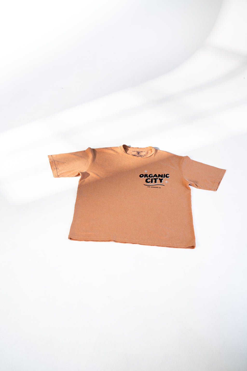 Organic City Classic Hemp T-Shirt | Organic Cotton | Naturally Dyed Red Clay
